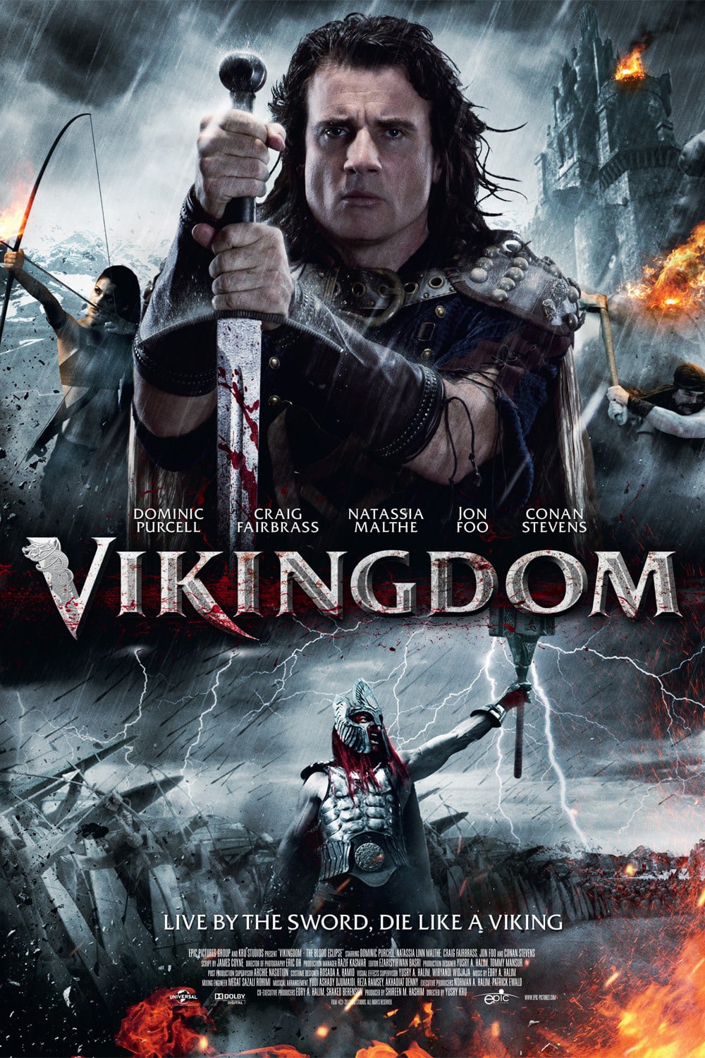 постер Королевство викингов